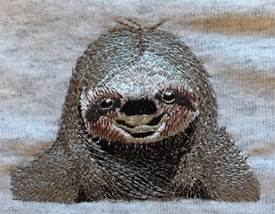 For those Sloth lovers out there