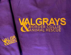 Valgrays Border Collie Rescue